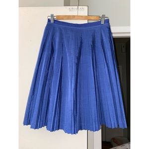 Blue Skirt